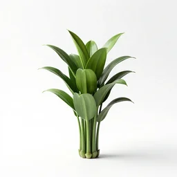 cute prayer plant, high detail photograph, full body, isolated on a pure white background, centered, entire subject in frame, sharp focus, soft studio lighting