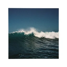 velvet tsunami, film photography album art cover, no text, no watermark