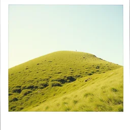 polaroid photo of a empty very steep grass hill, flash photography
