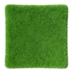 a height map for grass