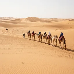 photo camel train in the desert,