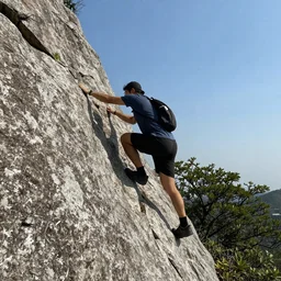 The Rock, perfect is his activity