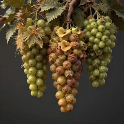 low hanging fruits, by james gurney, concept art, intricate, hyper detailed, volumetric lighting, sharp focus, octane render, trending on artstation, 8 k