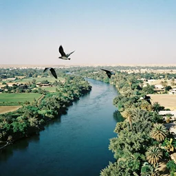 birds flying over the green lush nile river valley, a deep blue river runs through the egyptian valley, blue skies overhead, 35mm film photography, telephoto lense