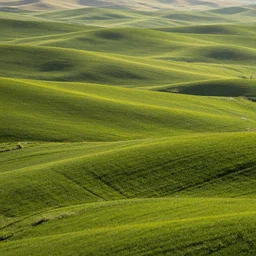 rolling hills of the palouse