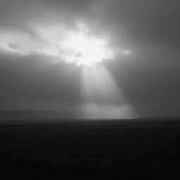 ambient black and white dark landscape with a lot of fog and light rays through the skies