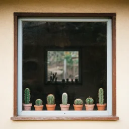view from inside a house on window with on it's border small cactus in pots. nostalgia. by tony sandoval