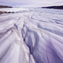 glacial purple infinite neutral leak