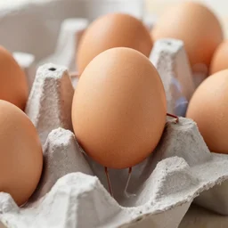 a brown egg with arms and legs climbing out of a carton of eggs, ultrarealistic