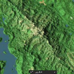 vdeo game height map, top down view