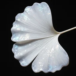 high definition hd photography of a white albino ginkgo leaf, translucent, refractive and reflective, shimmering, pearly iridescent, black background.