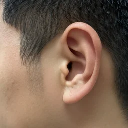 a realistc photo of a man with big ears.