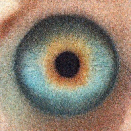texture map of a human iris, arnold renderer, octane renderer, Autodesk Maya