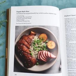 a page from a cookbook on how to prepare elephant meat, recipe,