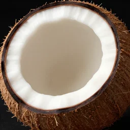 ( yea yea yea yea yea yea ), coconut, coconut, portrait, extremely closeup, global lighting, digital art, artstation