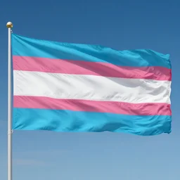 trans flag