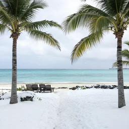 bahamas in the snow, photograph,