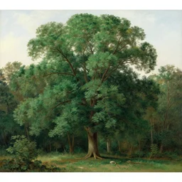 grand green tree in a forest, hudson river school