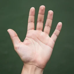 i want you to hold out the palm of