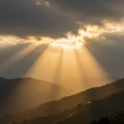 golden rays of the glorious sunshin