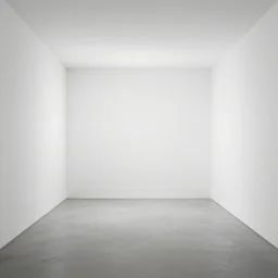 A room with white walls, liminal space