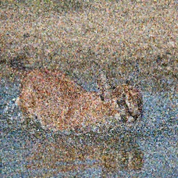 artistic professional photograph of a Caracal swimming