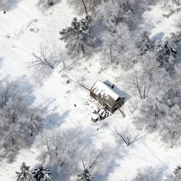 sattelite image of snow from 150 meters height, some cutted trees and frozen trees covered with ice and snow, old lumber mill remains, beautiful winter area