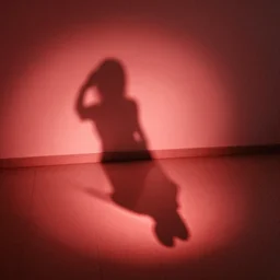 she sees her own shadow cast in red light and outlined on the floor below her, what she sees is good