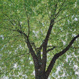 a tree the leaves are IPhones