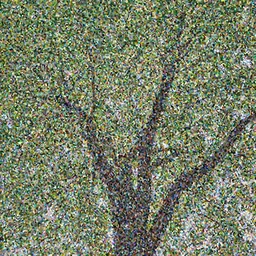 a tree the leaves are IPhones