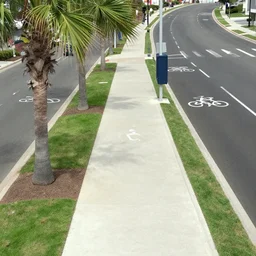 satellite photo of sidewalk, palm trees, bicycles ways, accessible for the disabled, by professional photographer, 8 k resolution, photo, high quality