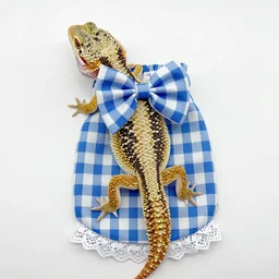Lizard Clothes Bearded Dragons Blue White Plaid Bow Tie with Elastic Lace Handmade Stretchy Bow Collar Outfit Reptiles Clothing Accessories Clothing for Leopard Gecko