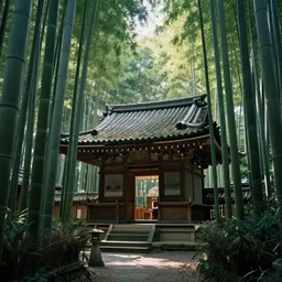 photo of a small Japanese temple hidden in a bamboo forest, cinematic, light rays, beautiful, 8k,