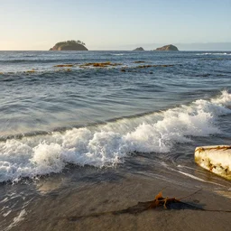 perfect wave breaking in shallow clear water front view, hollister ranch, offshore winds, kelp, islands on horizon, oil dereks on horizon, late afternoon, fall, central california