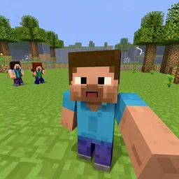 minecraft in medieval age, minecraft screenshot, selfie
