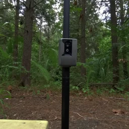 discord mod trail cam