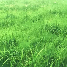 anime grass texture