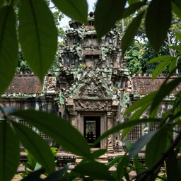 seeing ancient civilization while I'm hiding behind leaves in jungle realistic