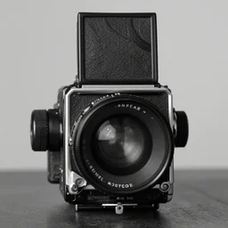 portrait, realistic, anaphoric lens, analogic camera, large format, sharpness, clarity, tonal range, black and white, ansel adams style