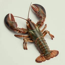 (((((1950s lobster . muted colors.))))) by Jean-Baptiste Monge !!!!!!!!!!!!!!!!!!!!!!!!!!!