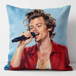 harry styles pillow painting