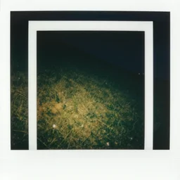 polaroid photo of a empty very steep grass hill at night, flash photography