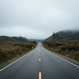 the road less traveled