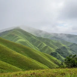 Beautiful earth landscapes in HDR,thin fog