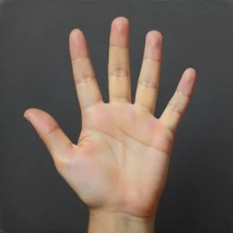 study of a right small hand with 5!! five!!! straight fingers, detailed, precise, studio lighting, oil painting, matte painting, award - winning, smooth, realistic, hyperrealism,