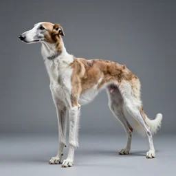robot borzoi