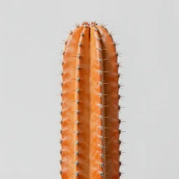 long shot photo of an orange coloured cactus 4k, ultra HD