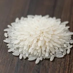 a single grain of rice