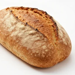 loaf of cat bread hybrid