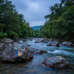 a beautiful landscape, river, rocks, trees, iridescent lights